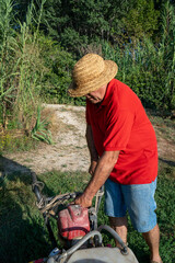Sulphating the garden, organic orchard, Catalonia, Spain