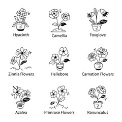 Obraz premium Pack of Garden Flowers Doodle Icons