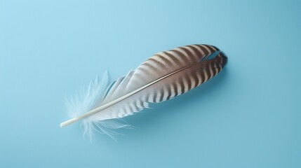 Single striped feather on light blue background Closeup of bird plumage Brown and white pattern Soft texture and detail Nature inspired Minimalist composition