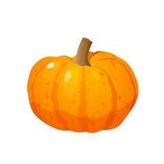 Organic natural orange pumpkin isolated on white background.	
