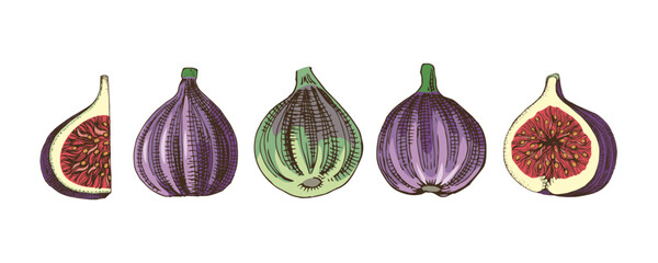 Figs collection with full ripe figs and sliced fruits