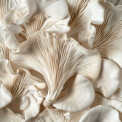 macro realistic texture of oyster mushroom image white macro 