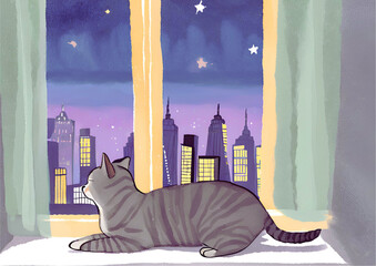 cat on the window in New York