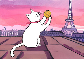 Paris cat