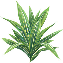 Fototapeta premium A close-up of a lush green palm frond.