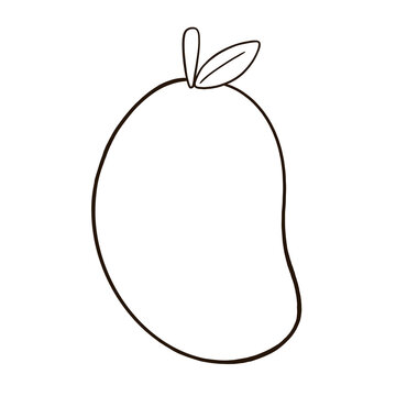 recommend clip art: mango fruit outline line drawing illustration