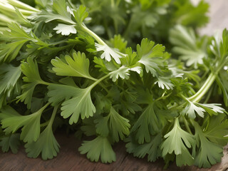 fresh parsley.  Its bright flavor enhances a myriad of dishes, from salads to soups, adding both color and nutrition. Beyond its culinary uses, fresh parsley is rich in vitamins A, C, and K.