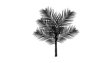 small palm tree, black isolated silhouette © OMIA