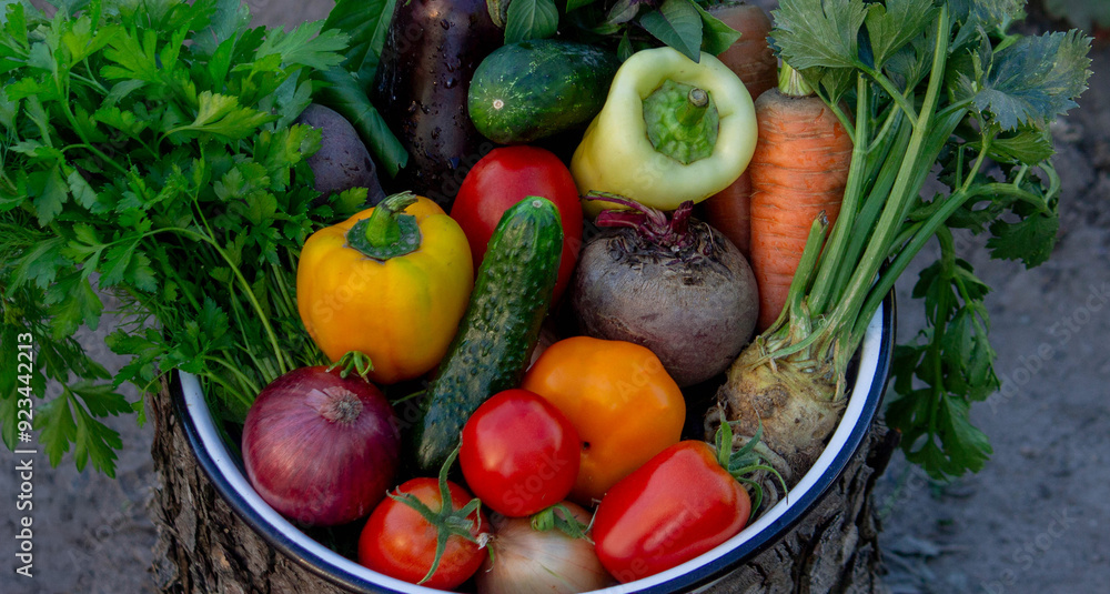 Poster vegetables in a bowl on a hemp. bio healthy food. organic vegetables