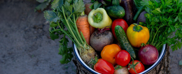 vegetables in a bowl on a hemp. Bio healthy food. Organic vegetables
