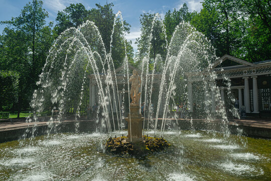 Peterhof, Russia; August 2 2024: Adam fountain in Peterhof Palace gardens