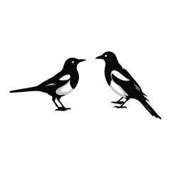 Obraz premium bird silhouette vector illustration ,Magpie silhouette on white background, Vector illustration, icon, characters, Holiday t shirt, Hand drawn illustration