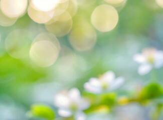 White Flowers Background - Closeup Photography - Unfocused - Bokeh Effect Light