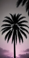 Naklejka premium palm tree silhouette