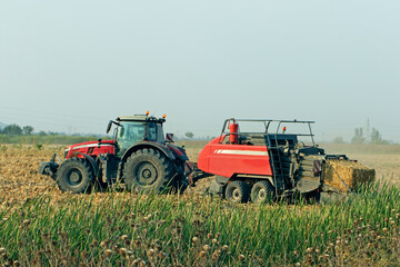 Obraz premium A tractor and baler making bales in a corn field for post-harvest animal feed