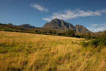 Waboomskraal in the Outeniqua Mountains Hops farms and fynbos, floral kingdom in South Africa.