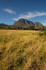 Waboomskraal in the Outeniqua Mountains Hops farms and fynbos, floral kingdom in South Africa.