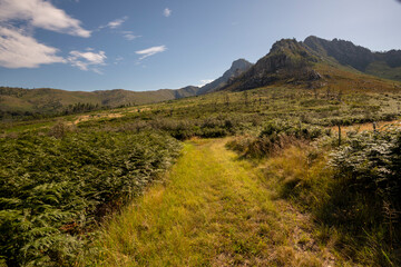 Waboomskraal in the Outeniqua Mountains Hops farms and fynbos, floral kingdom in South Africa.