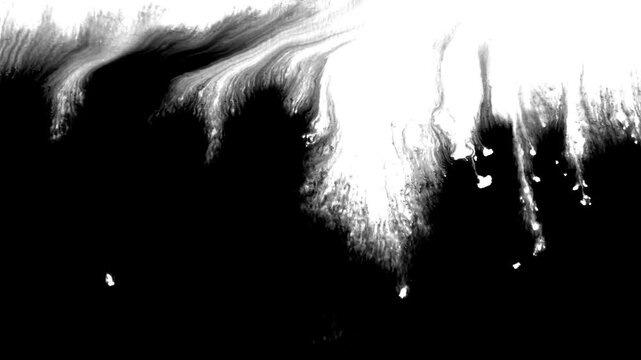 Black ink artistic down top flow splatter spots spills white paper beautiful reveal dripping streaks spread fluid ink alpha matte isolated watercolor ink drops transition	
