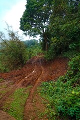 A dirt road with a tree in the background