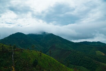 Obraz premium The mountains are covered in lush green trees and the sky is cloudy