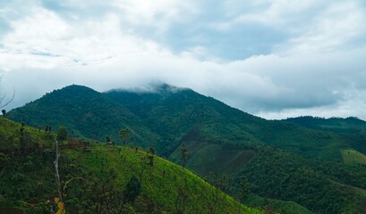 Fototapeta premium The mountains are covered in lush green trees and the sky is cloudy