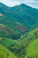 A lush green mountain landscape with a winding road that runs through the valley