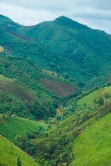 Fototapeta premium A lush green mountain landscape with a winding road that runs through the valley