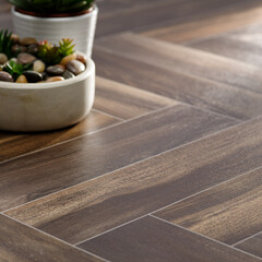 Elegant Wooden Flooring with Potted Succulents and Stone Accents in a Modern Interior