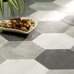 Geometric Hexagonal Tile Flooring with Decorative Bowl and Indoor Plant in Modern Interior