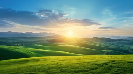 Naklejka premium Scenic sunrise over rolling green hills