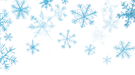 snowflakes transparent background