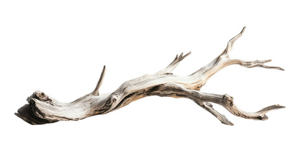 Obraz premium Driftwood plank transparent background