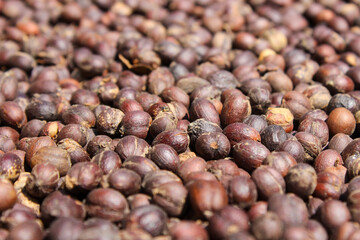 Close up of Coffee Beans Berries drying natural process