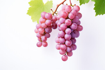 Fototapeta premium red grapes on vine isolated on white 