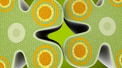 flower parts of anther anatomy. 3d illustration