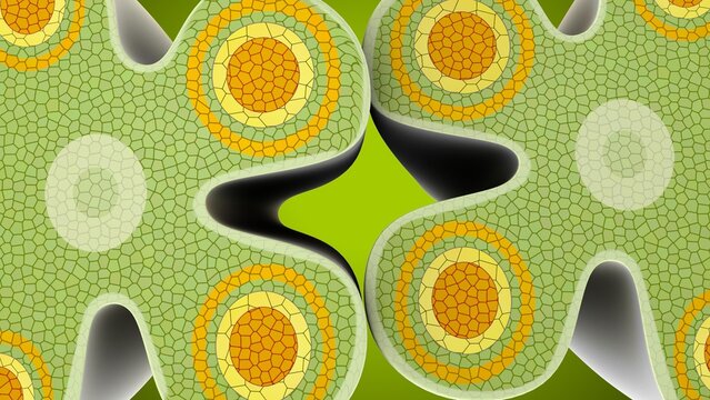 flower parts of anther anatomy. 3d illustration