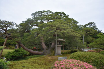 兼六園