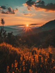 A breathtaking sunset casts golden rays over hills, with wildflowers in the foreground and mist enveloping distant mountains