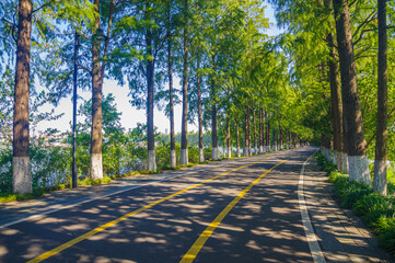 Summer scenery of Wuhan East Lake Scenic Area