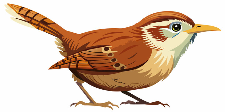 Vector South Carolina State Bird - The Carolina wren (Thryothorus ludovicianus)
