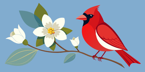 Cardinal and dogwood 
