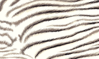 Exotic White Tiger Skin Pattern Vector Illustration With Seamless Design. Animal Striped Skin Fur Pattern Texture Background
