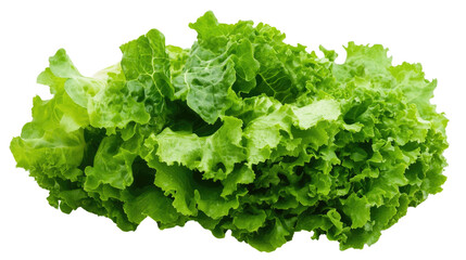Lettuce transparent background
