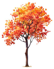 PNG Vibrant autumn tree illustration