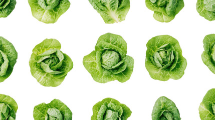 Fototapeta premium Lettuce transparent background