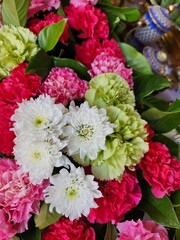 Close up of carnation flowers background