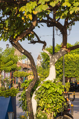 Fototapety na wymiar - Fototapeta24.pl