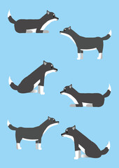 いろんなポーズの黒柴犬のイラスト