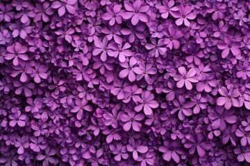 Fototapeta premium Floral Backdrop: A Field of Delicate Purple Flowers, generative ai